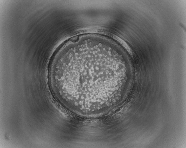 X0000097991051200804141137