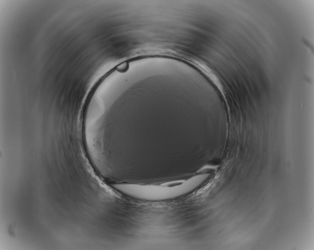 X0000097991053200804141137