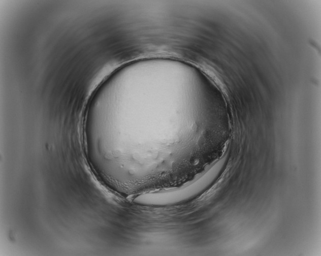 X0000097991054200804141137