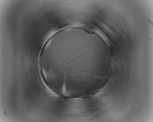 X0000097991055200804141137