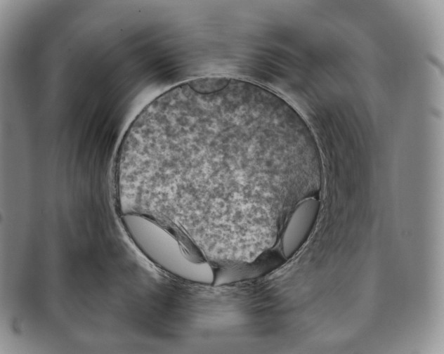 X0000097991056200804141137