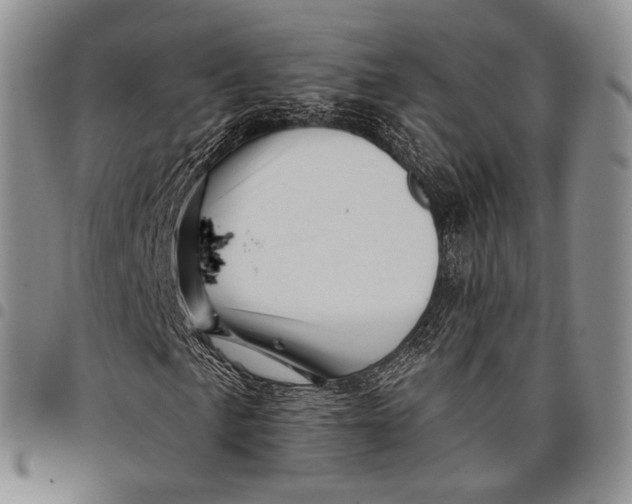 X0000097991057200804141136