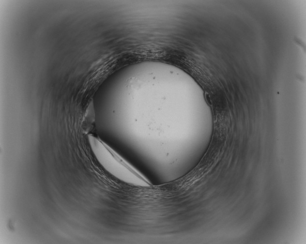 X0000097991058200804141136