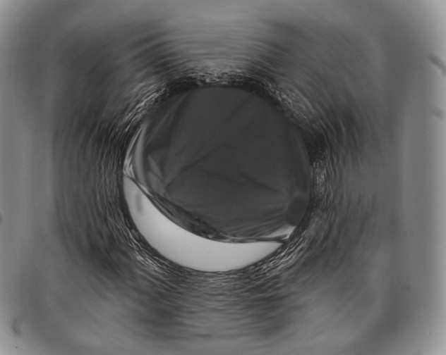 X0000097991060200804141136