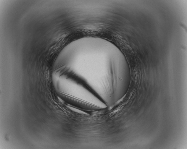 X0000097991061200804141136