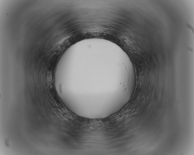X0000097991062200804141136