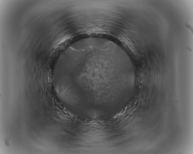 X0000097991063200804141136