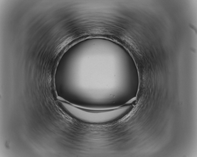 X0000097991065200804141136