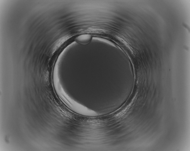 X0000097991066200804141136