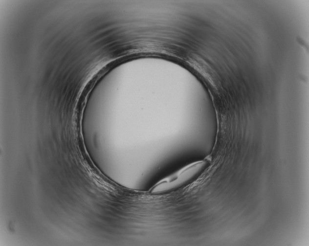 X0000097991068200804141136