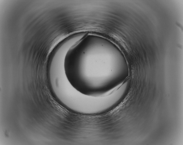 X0000097991069200804141136