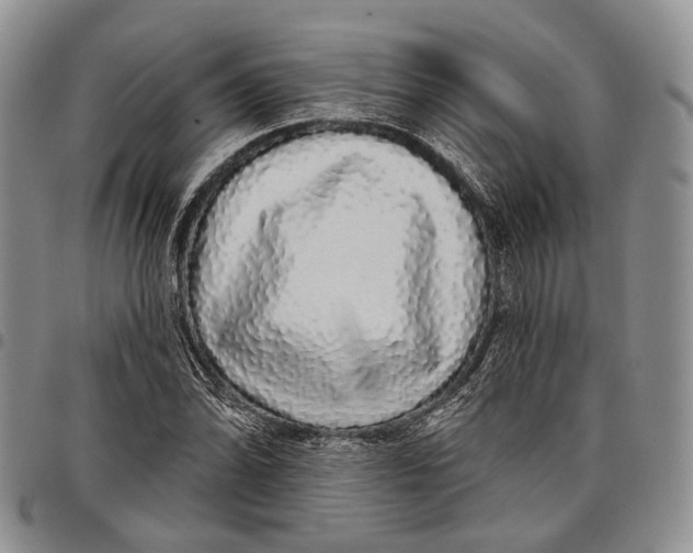 X0000097991070200804141136