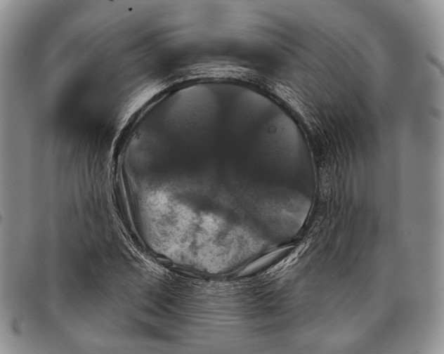 X0000097991071200804141136
