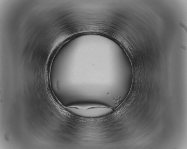 X0000097991072200804141136