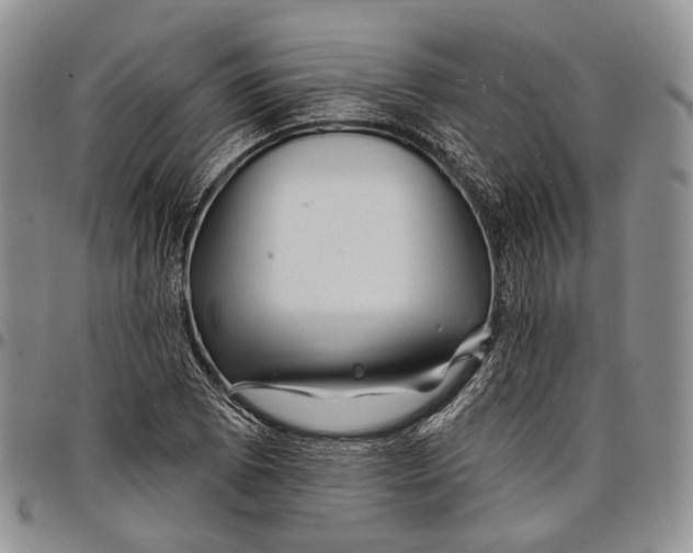 X0000097991073200804141136
