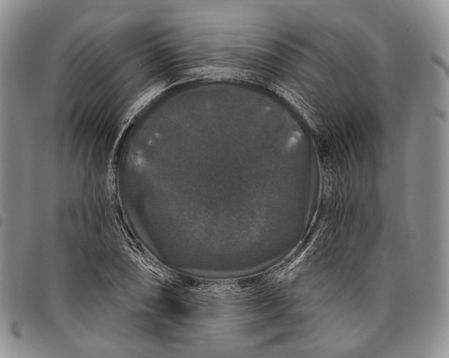 X0000097991074200804141136