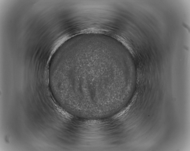 X0000097991075200804141136