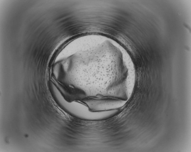 X0000097991076200804141136