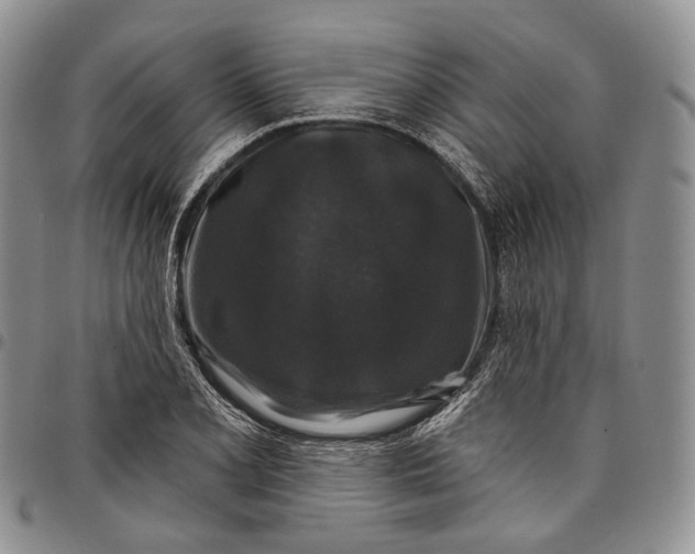 X0000097991077200804141136