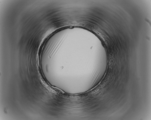 X0000097991080200804141136