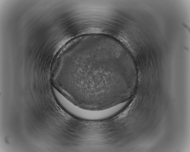 X0000097991081200804141136