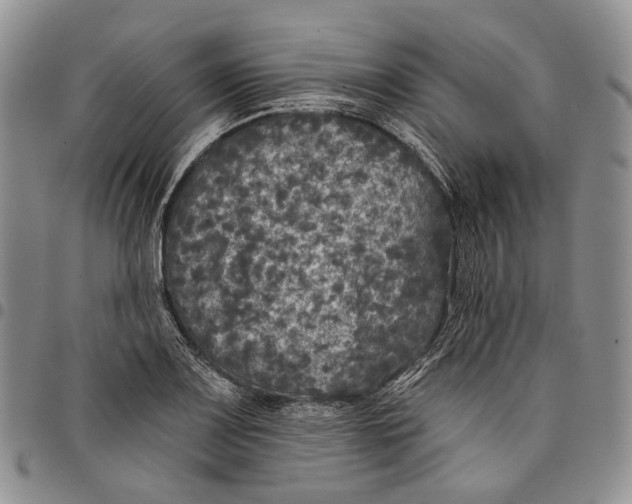 X0000097991083200804141136