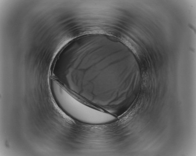 X0000097991084200804141136