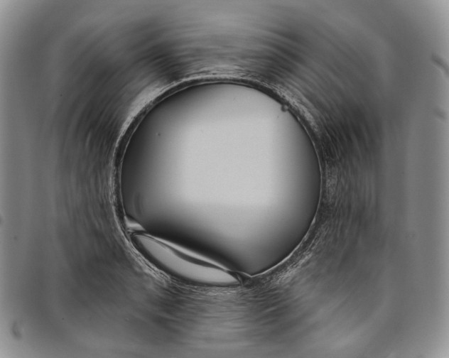 X0000097991085200804141136