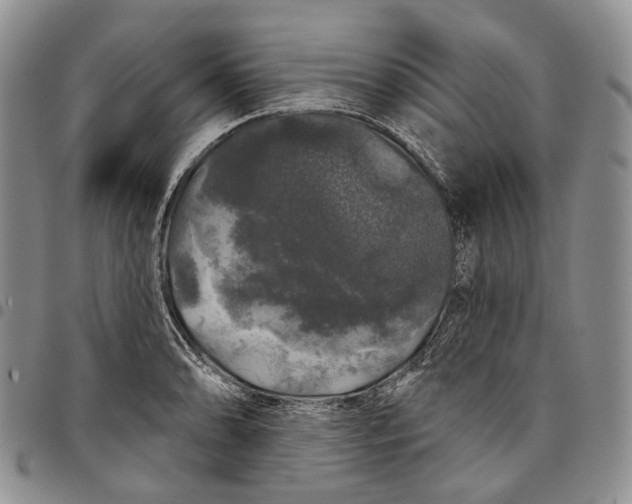 X0000097991086200804141136