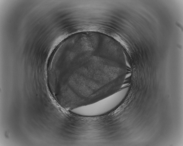 X0000097991088200804141136