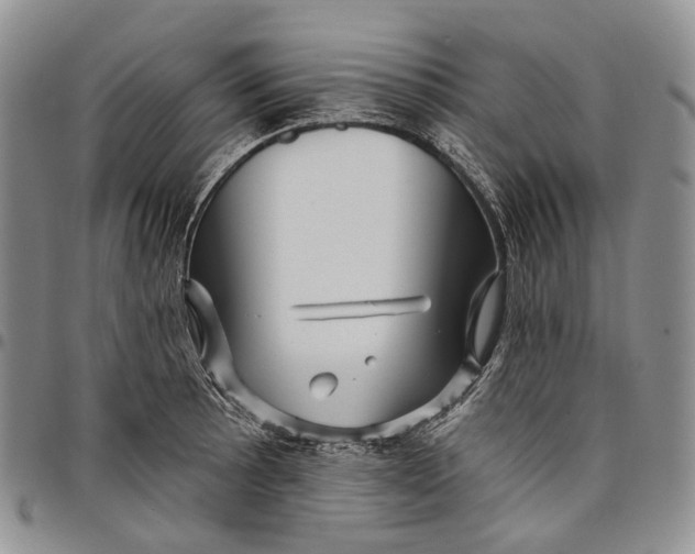 X0000097991089200804141136
