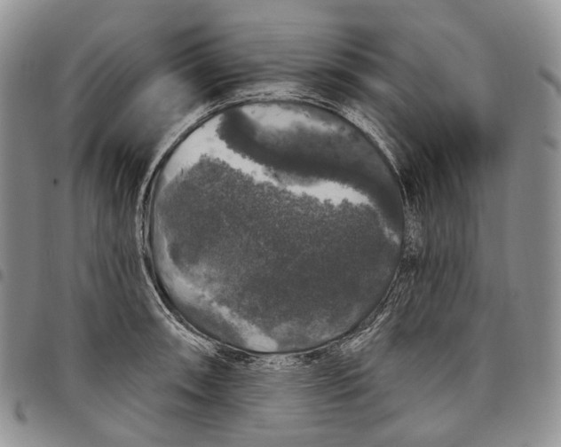 X0000097991090200804141136