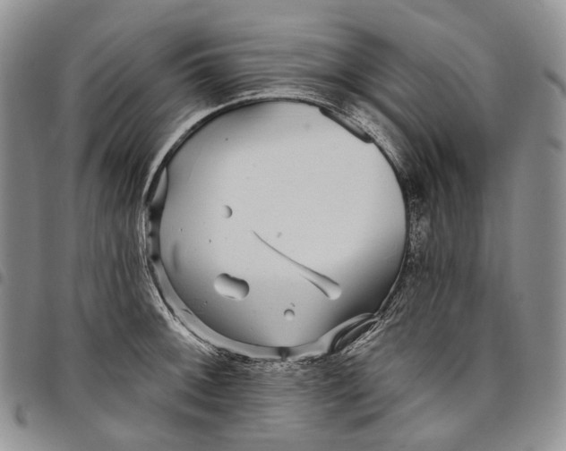 X0000097991092200804141136