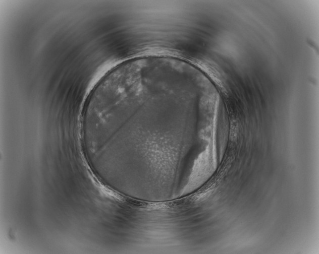 X0000097991094200804141136