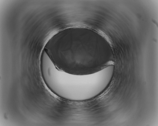 X0000097991095200804141136