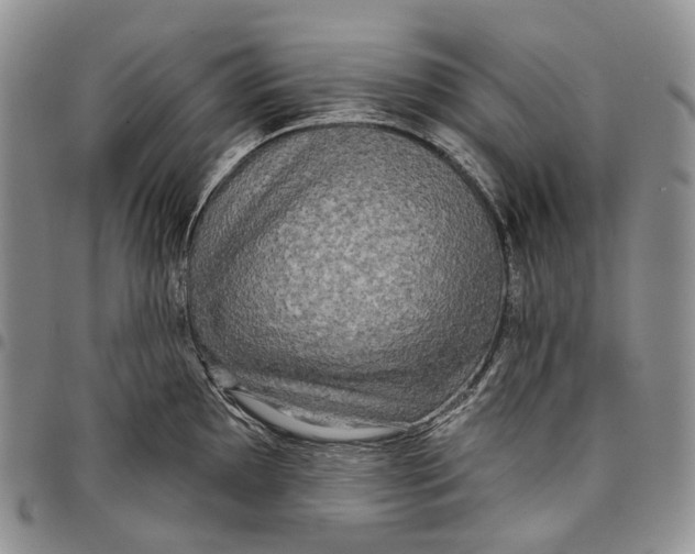 X0000097991097200804141136