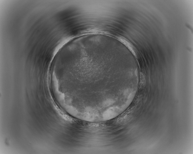 X0000097991098200804141136