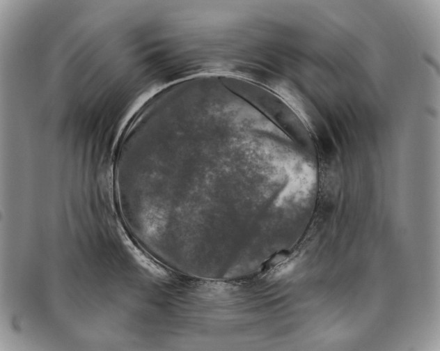 X0000097991100200804141136