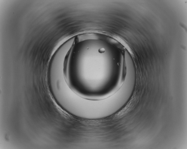 X0000097991101200804141136