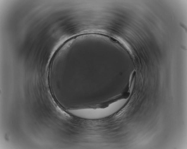 X0000097991102200804141136