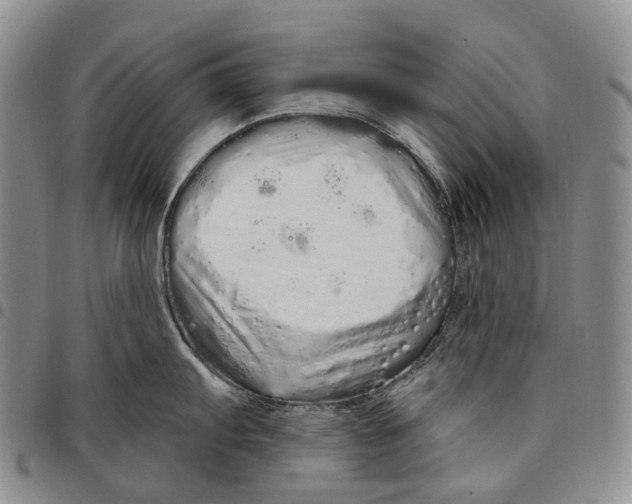 X0000097991103200804141135