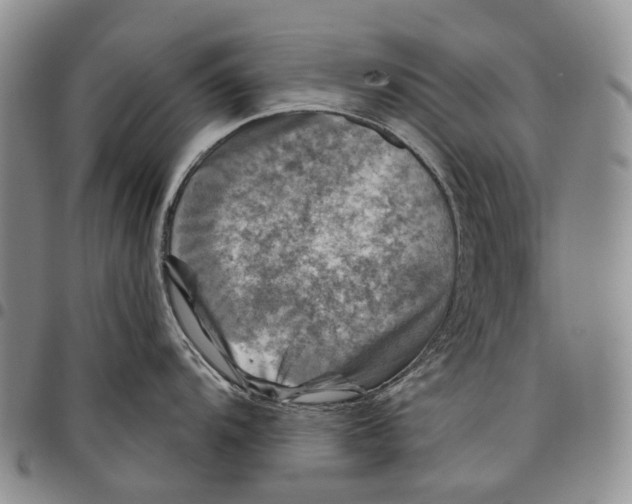 X0000097991104200804141135