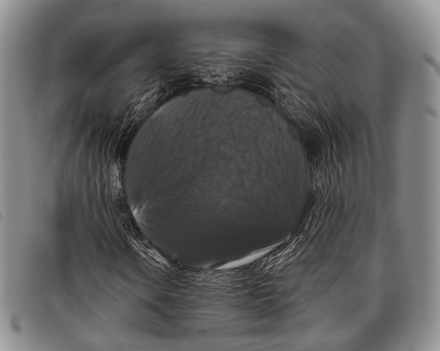 X0000097991106200804141135