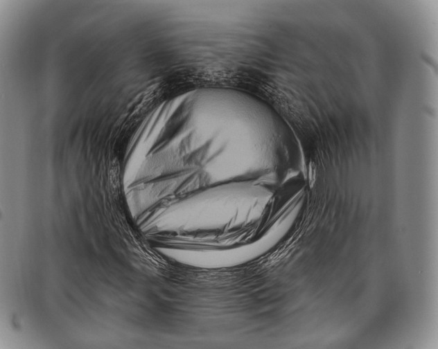 X0000097991107200804141135