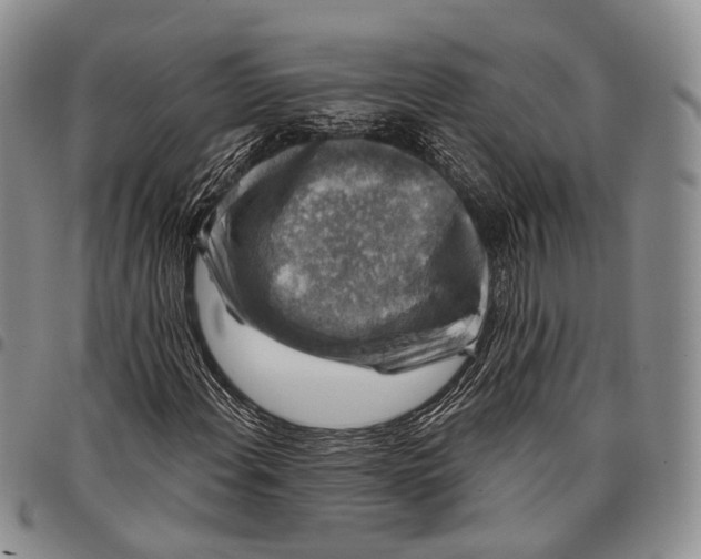 X0000097991108200804141135