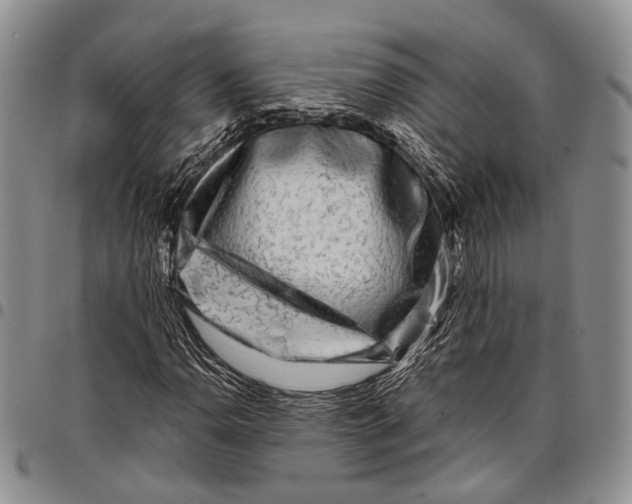 X0000097991110200804141135