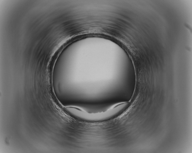 X0000097991118200804141135