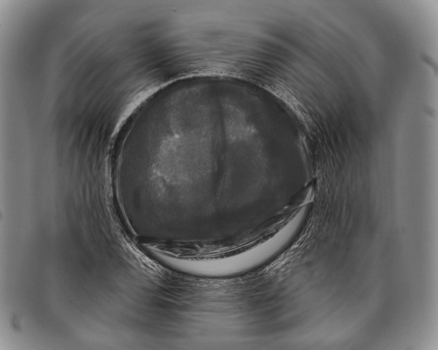 X0000097991120200804141135