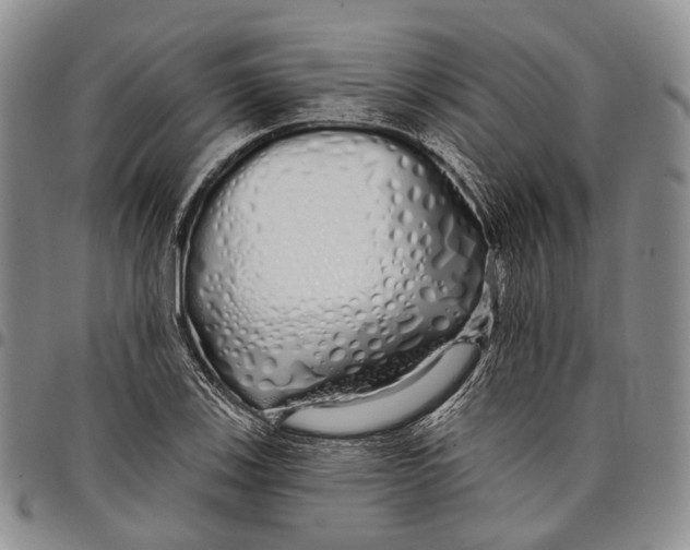 X0000097991123200804141135