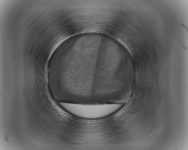 X0000097991124200804141135